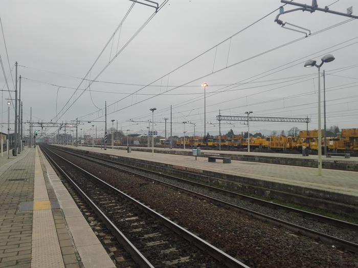 Molesta 20enne sul treno, arrestato