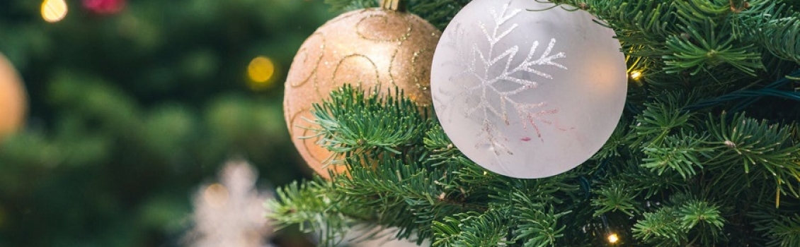 A Natale Italia zona rossa dal 24 al 6 festivi e prefestivi. A tavola due non conviventi