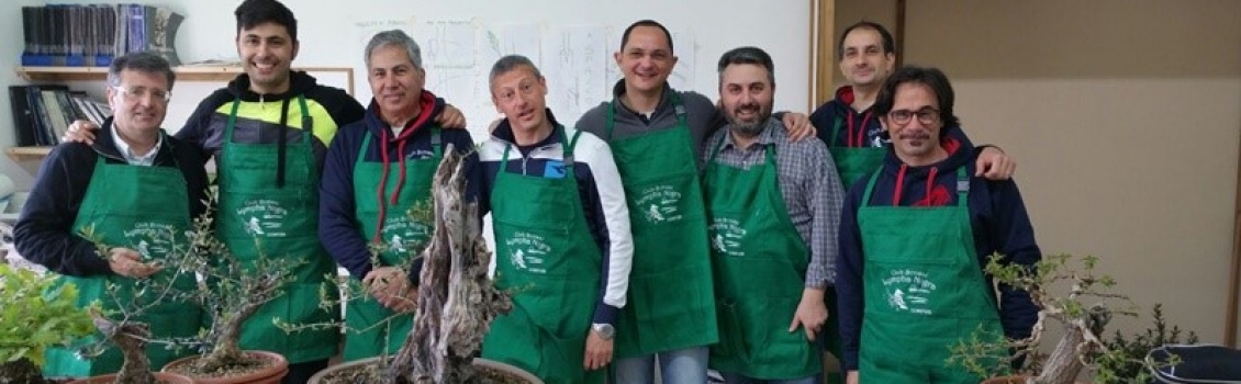 Mostra Nazionale di bonsai e suiseki a Cosenza: al via la IV edizione