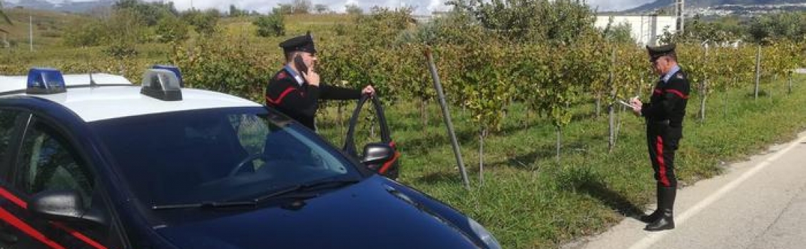 Caporalato: sfruttano lavoratore, denunciati due imprenditori