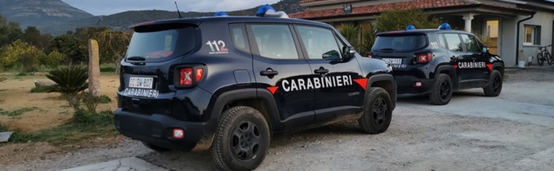 Rapina stile Arancia meccanica, arresto