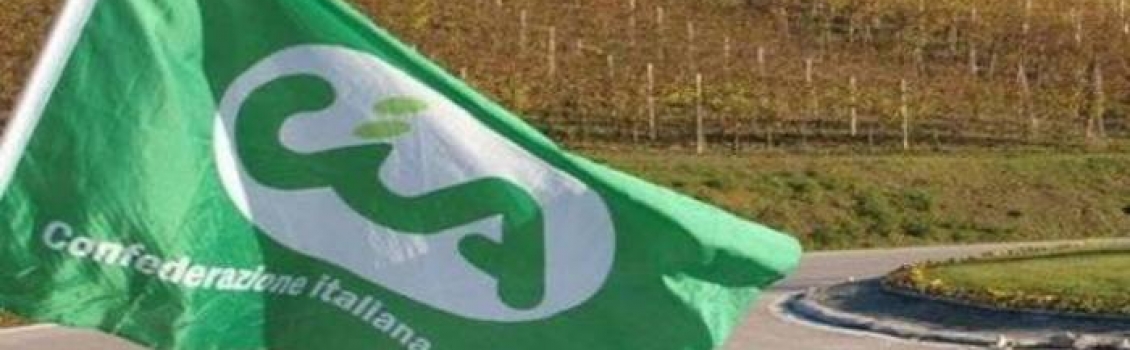 Cia: “La priorità resta la liquidità”