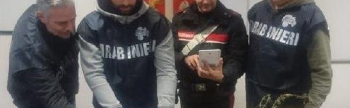 Trovati droga e munizioni