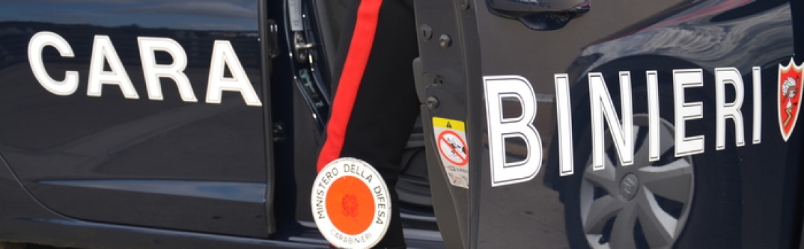 Droga: blitz dei CC e della Gdf in quattro regioni
