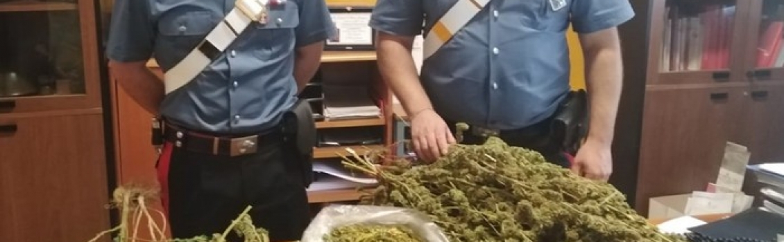 Droga:trovato in possesso di 1,9 kg di marijuana, arrestato