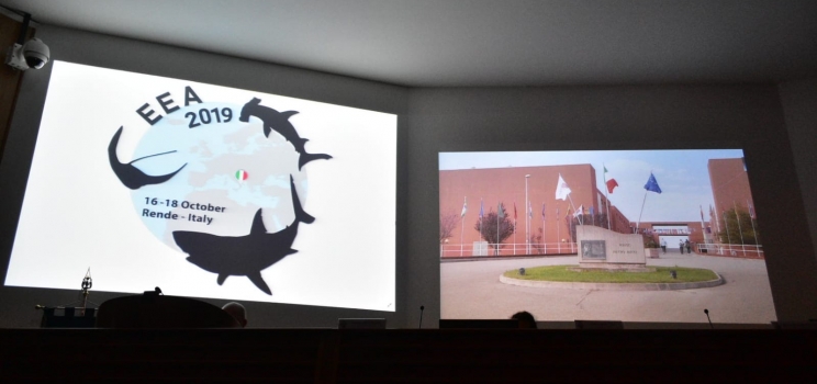 XXIII CONGRESSO EUROPEO SUGLI SQUALI UNIVERSITÀ DELLA CALABRIA