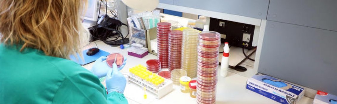Coronavirus, Borrelli: ‘Numero guariti importante, contagi stabili’. Spadafora: ‘Valutiamo il divieto assoluto delle attività all’aperto’
