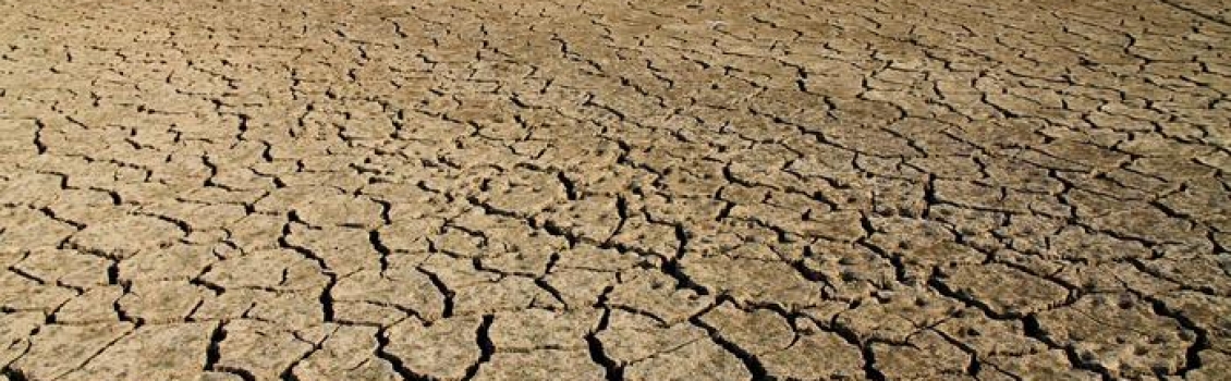 C’è siccità, messa per invocare pioggia