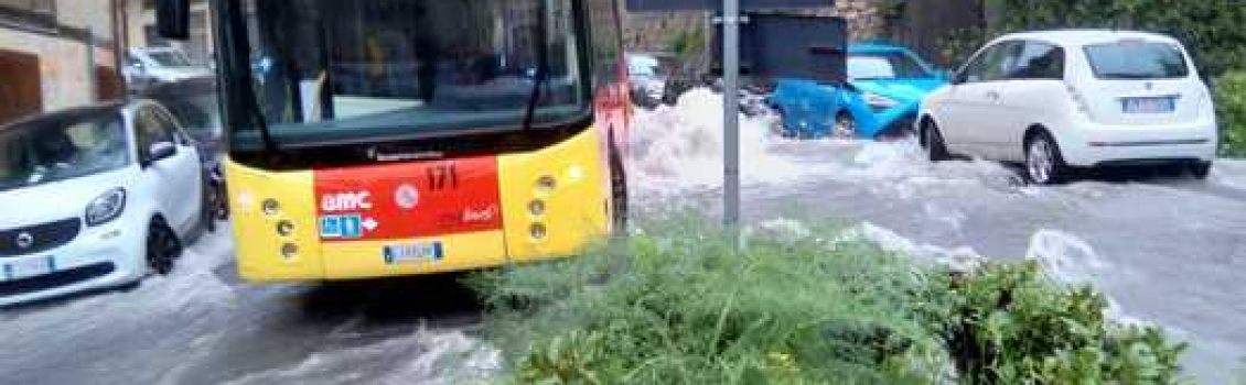 Voragine inghiotte ruota bus, no feriti