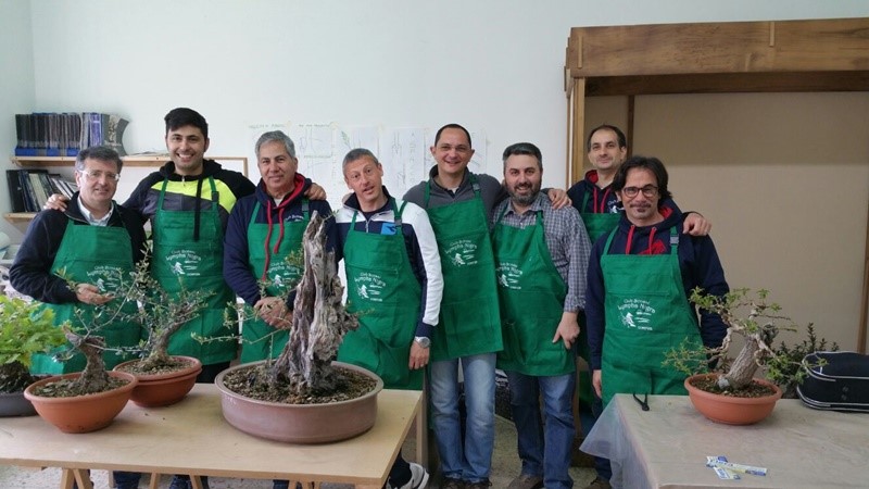 Mostra Nazionale di bonsai e suiseki a Cosenza: al via la IV edizione