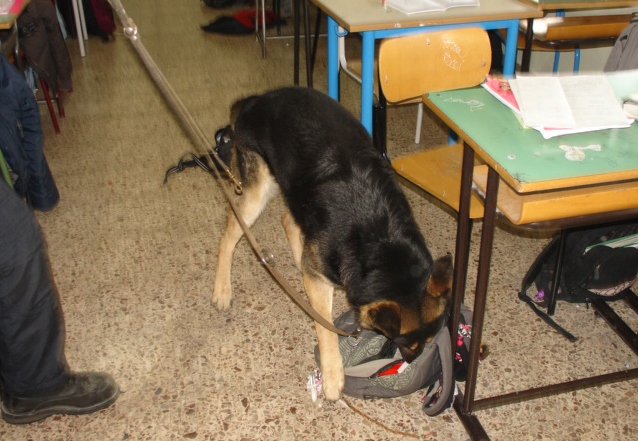 A scuola con 56 dosi di droga, studente beccato dal cane antidroga